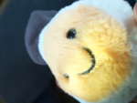 Mr eggs76847949