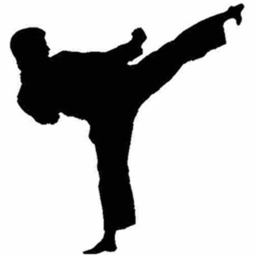 Ultimate Karate DOJO