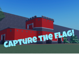 Flag Capture ( Update )