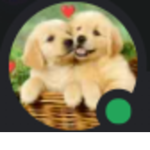 bigbeast pls