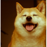 Doge People Only (D.P.O)