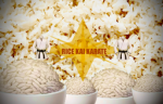 RICE KAI KARATE DOJO