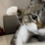 I Punch Things