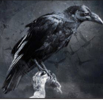 [PG:O] Raven Squad