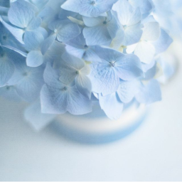✰