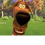 Marmaduke Cult