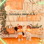 Sunshine’s home store