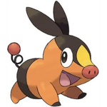Tepig Team