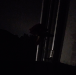 [Th3 clown around town!!]