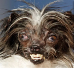 GRR BADDIE!!