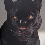 d̾i̾o̾r̾