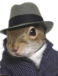 squirrels