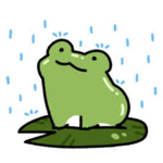 -+Frogs-+