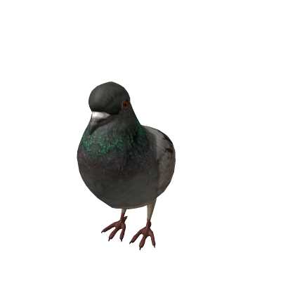 bird (startercharacter)
