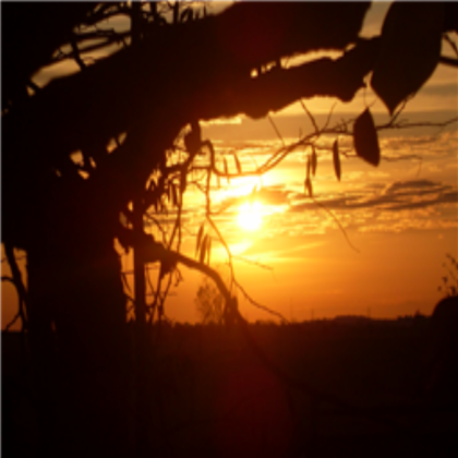 Sunset skybox-SHIRLLSOCCER32-