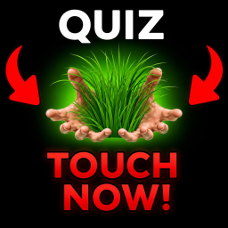 [🔥] Touch Grass Test