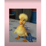 تدخل اعطيك عشرين فلوس
