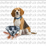 Diamondsc