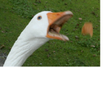 Svenskagamers
