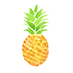 PineappleSwirl1414