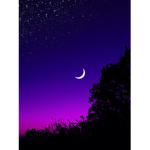#dreamteam (moonlight)