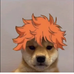 ChipsInmyHair