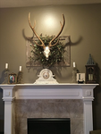 "The Deer Family"