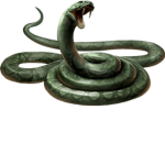 $*Snake Gang*$