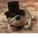 Froggy group rib it