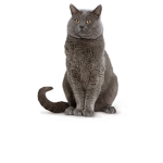 The Cats Of The World Group
