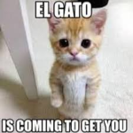 Gato Republic