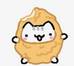Join if You like cats!!