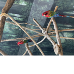 Gabby’s Zoo Center