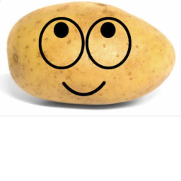 potato