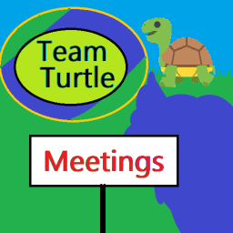 Team Turtle Meetings!