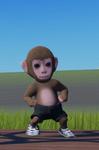Magnificent Monkey Marathon