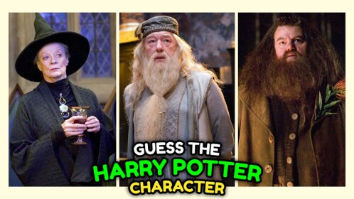 Guess the Harry Potter Character!