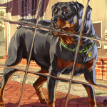 chopthegoat