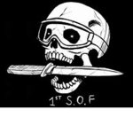 Specialized Operation Forces (SOF)