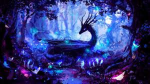 TheUnknowDragons
