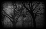 Spook SS