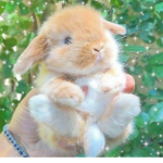 Luvlybunnyz!!! <3