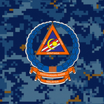 Quartermaster General APM