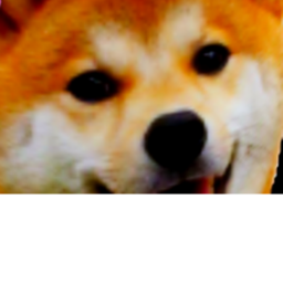 Doggos United Village