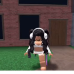 z 6rKq