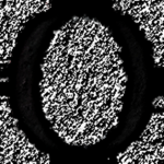 Ŏ