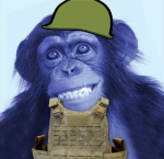 Blue Monkey Military