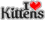 i love cats fan group