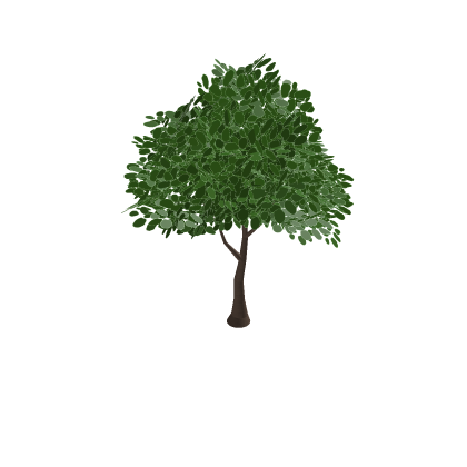 Tree Model