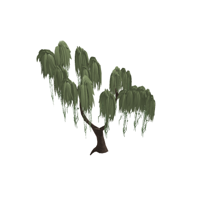 Willow Tree